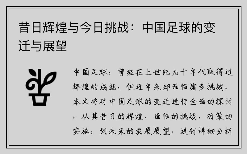 昔日辉煌与今日挑战：中国足球的变迁与展望